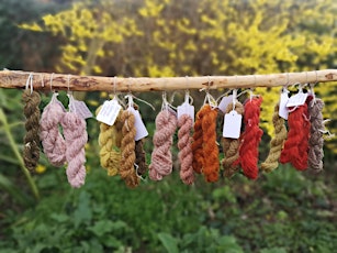 Natural Dyeing with Plants