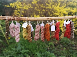 Imagen principal de Natural Dyeing with Plants