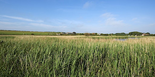 Evening  reserve walk and BBQ (Cley Calling) primary image