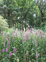 Hauptbild für April Guided Heritage Walk: Warley Place