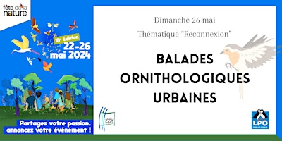 Imagen principal de Fête de la Nature - Balade ornithologique urbaine avec la LPO (2/2)