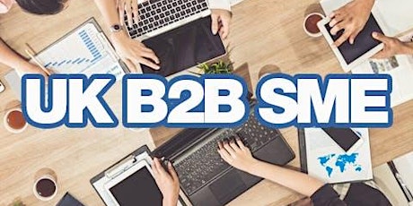 UK B2B SME Online Networking  primärbild