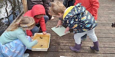 Dyke Dipping at NWT Cley Marshes (Cley Calling)