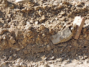 Primaire afbeelding van Soils & Stones Management for a Circular Economy