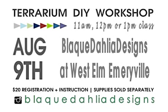 Blaque Dahlia Designs | Terrarium DIY Workshop | West Elm Emeryville primary image
