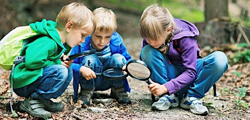 Primaire afbeelding van Thorndon Bug Buddies: Drop In