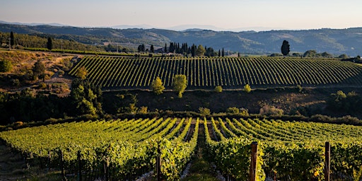 Immagine principale di Tenuta Tignanello Estate Wine Dinner 