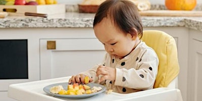 Hauptbild für Introducing Solids Workshop (Wed 15th May 2024)  9.30-11am