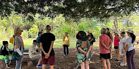 Healing Trees at Maui Nui Botanical Gardens  primärbild