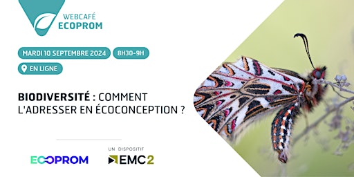 Imagen principal de Webcafé ECOPROM : Biodiversité, comment l'adresser en écoconception ?