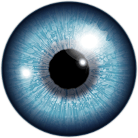 Eyeball '24 primary image