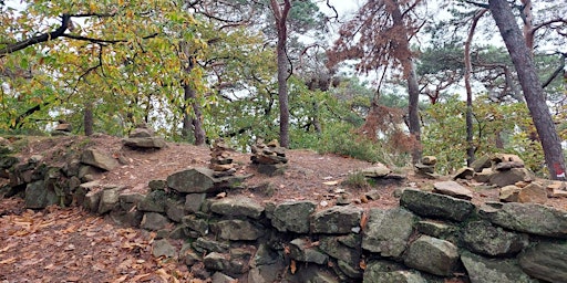 Imagen principal de Fr,29.03.24 Wanderdate Eichwerder Moorwiesen Runde in Berlin für alle