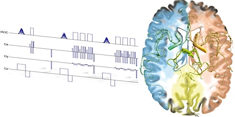 MRI Sequence Composition Beyond Academia [Talk]