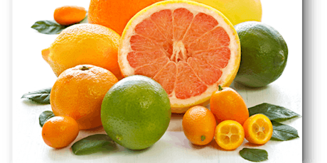 Citrus Care in the Home Garden primary image