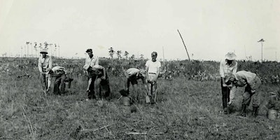 Primaire afbeelding van In the Footsteps of Cypress Loggers