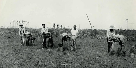 In the Footsteps of Cypress Loggers primary image