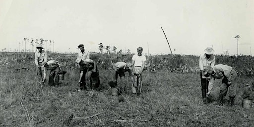 In the Footsteps of Cypress Loggers primary image