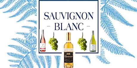 Celebrating Sauvignon Blanc