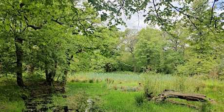 Redbridge Rainbow On the Move! Epping Forest circular walk