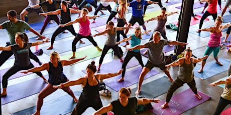 Hauptbild für Beer + Yoga @ Stoup Brewing Kenmore