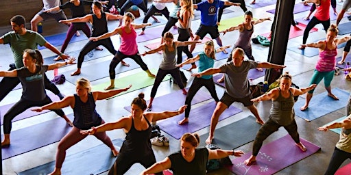 Imagem principal de Beer + Yoga @ Stoup Brewing Kenmore