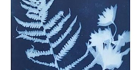 Cyanotype Printmaking