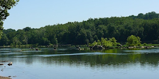 Primaire afbeelding van Aquatic Ecosystems in Northern Virginia with Professor R. Chris Jones