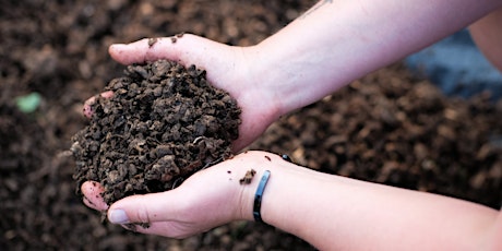 Immagine principale di Composting with Earthworms – Build your own Natural Soil Amendment! 
