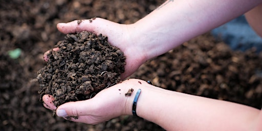 Primaire afbeelding van Composting with Earthworms – Build your own Natural Soil Amendment!