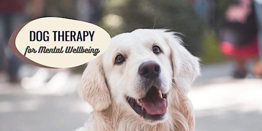 Sunday Funday - Dog Therapy primary image