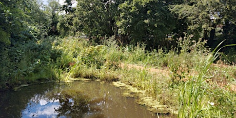 Edith Gardens Rewilding Day primary image