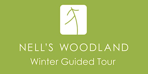Nell's Woodland Winter Hike with Joe Jakupcak primary image