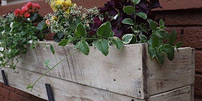 Primaire afbeelding van MITI: Window Box EVANSTON