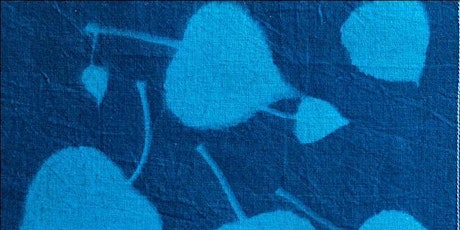 Imagen principal de Creating Cyanotypes