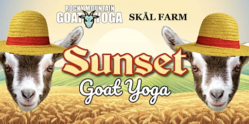 Primaire afbeelding van Sunset Goat Yoga - April 28th (Skål Farm)