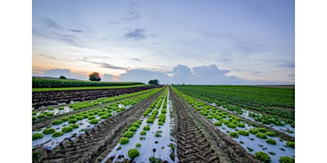 Hauptbild für Private and Ag Row Crops Pesticide Exam Training & CEUs! 4/16/24