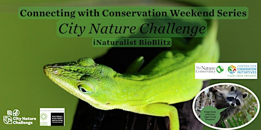 Imagem principal do evento City Nature Challenge BioBlitz