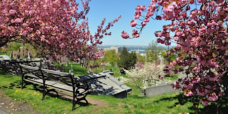 Great Trees of Green-Wood primary image