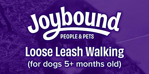 Dog Training - Loose Leash Walking Class with Emma  primärbild