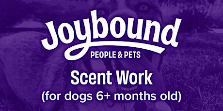 Dog Training - Scent Work with Alex M