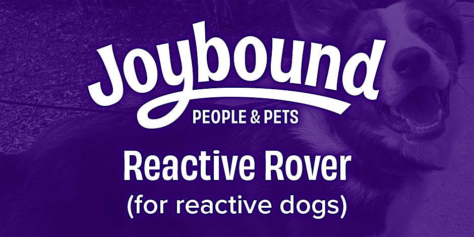 Dog Training - Reactive Rover w\/ Alex M