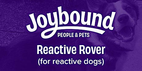 Dog Training - Reactive Rover w/ Alex M