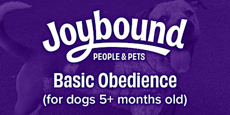 Dog Training - Basic Obedience (5+ months old) with Alex M