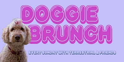 Hauptbild für DOGGIE BRUNCH