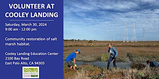 Primaire afbeelding van Volunteer Outdoors in East Palo Alto at Cooley Landing