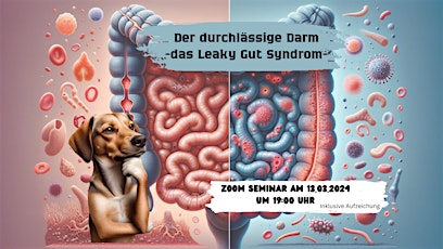 Der durchlässige Darm - Das Leaky Gut Syndrom beim Hund