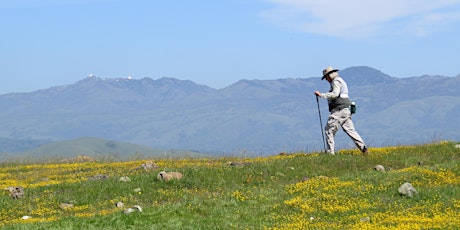 Cancelled Due to Rain: Extended Educational Guided Hikes