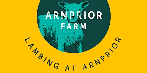 Imagem principal de Arnprior Lambing