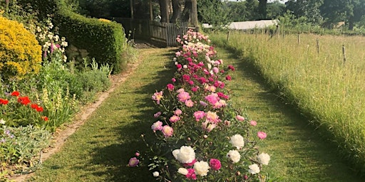 Primaire afbeelding van Open Garden: Peony Power