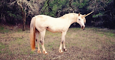 Imagem principal do evento National Unicorn Day